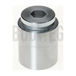 233604 BUDWEG CALIPER