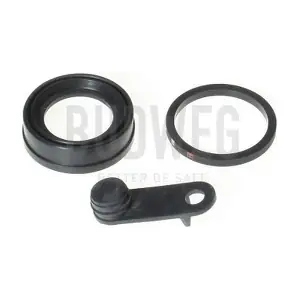 183206 BUDWEG CALIPER