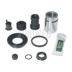 209032 BUDWEG CALIPER