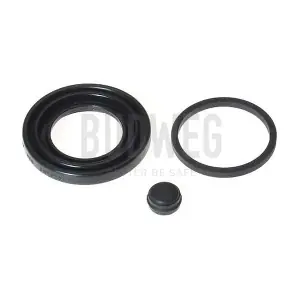 203866 BUDWEG CALIPER