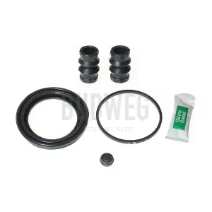 206604 BUDWEG CALIPER