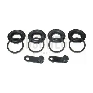 203025 BUDWEG CALIPER