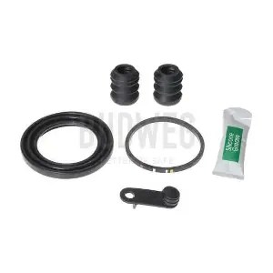 205457 BUDWEG CALIPER