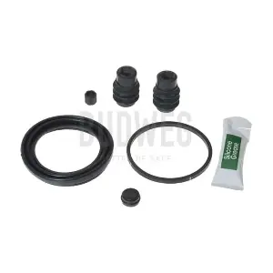 206062 BUDWEG CALIPER