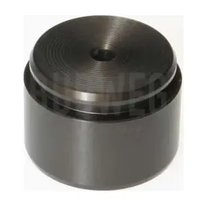 234420 BUDWEG CALIPER