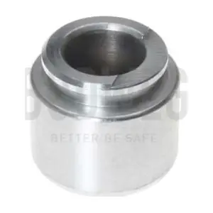 233408 BUDWEG CALIPER
