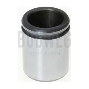 234229 BUDWEG CALIPER