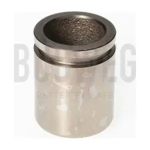 233520 BUDWEG CALIPER