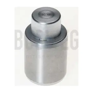 233003 BUDWEG CALIPER