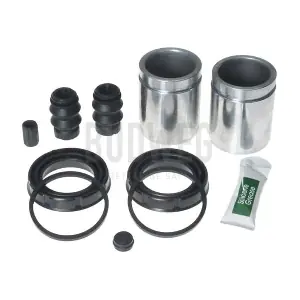 2090255 BUDWEG CALIPER
