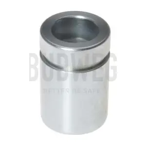 233015 BUDWEG CALIPER