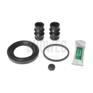 204882 BUDWEG CALIPER