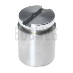 233421 BUDWEG CALIPER