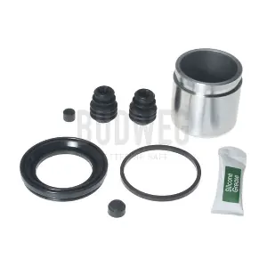 2090320 BUDWEG CALIPER