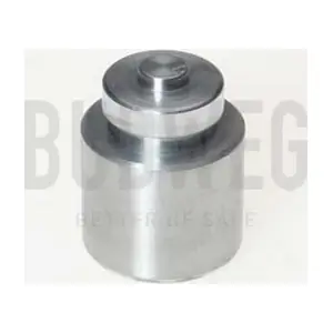 233201 BUDWEG CALIPER