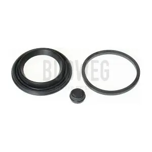 184802 BUDWEG CALIPER