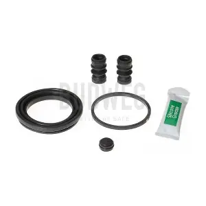 205481 BUDWEG CALIPER