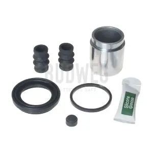 2090156 BUDWEG CALIPER