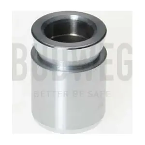 233303 BUDWEG CALIPER