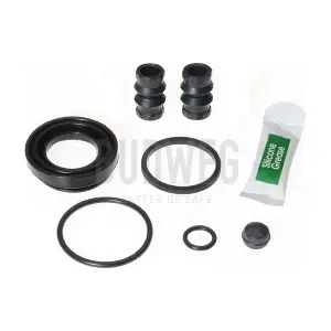 203643 BUDWEG CALIPER