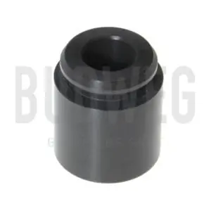 232801 BUDWEG CALIPER