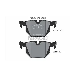PAGID T1494