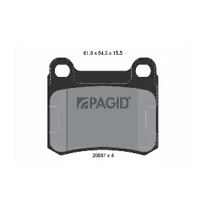 PAGID T1010