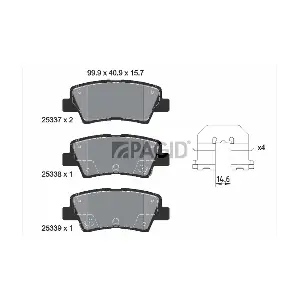 PAGID T3139