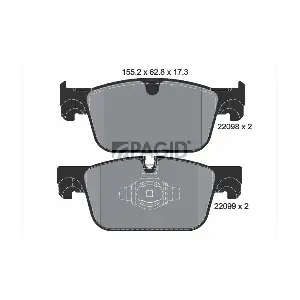 PAGID T4173