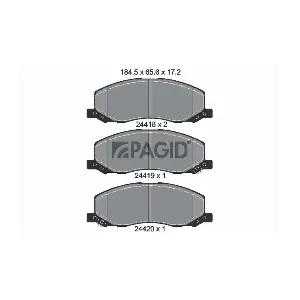 PAGID T1670