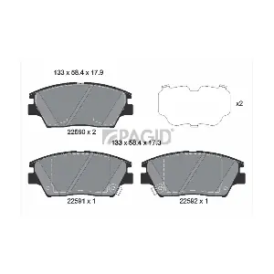 PAGID T2493