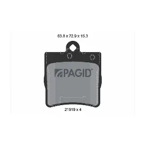 PAGID T1198
