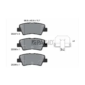 PAGID T2295
