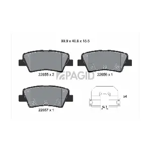T2696 PAGID