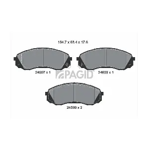 PAGID T1724N