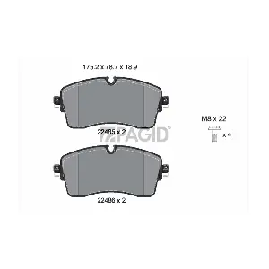 PAGID T3171