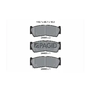 PAGID T1672