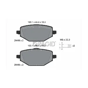 T2947 PAGID