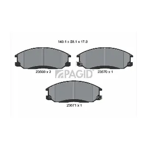 PAGID T1307N