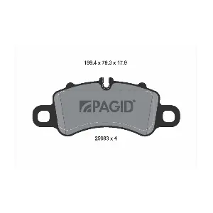 T2902 PAGID