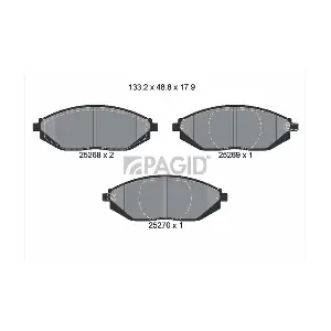 T2051 PAGID