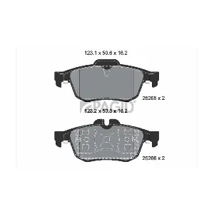 PAGID T3133