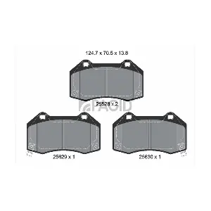 PAGID T2691