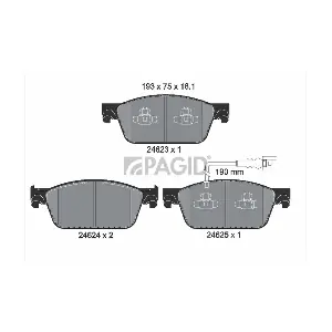 T1919 PAGID