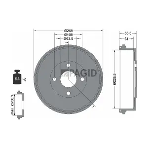 61009 PAGID