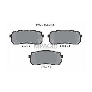PAGID T1725