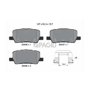 T2939N PAGID