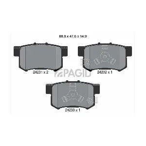 PAGID T 1521