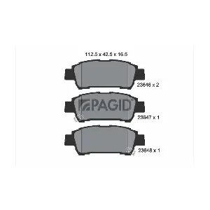 PAGID T1343