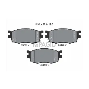 T1909 PAGID